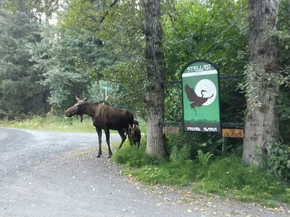 Steller Inn Seward Dış mekan fotoğraf